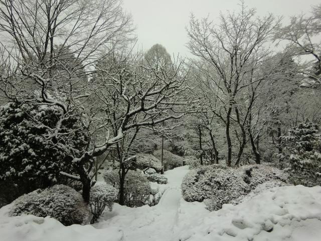 Umeyashiki Ryokan Nikko Zewnętrze zdjęcie